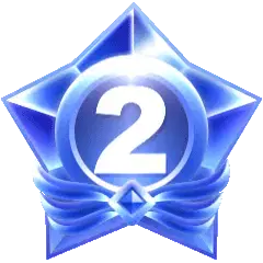 2级用户